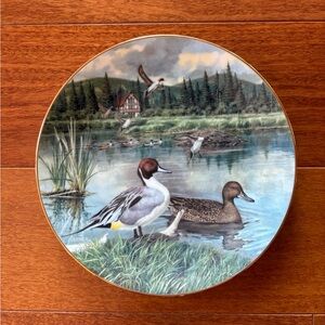 1986 The Pintail Duck Bart Jerner KNOWLES Collector Plate 8.5" IOB & Wall Hook